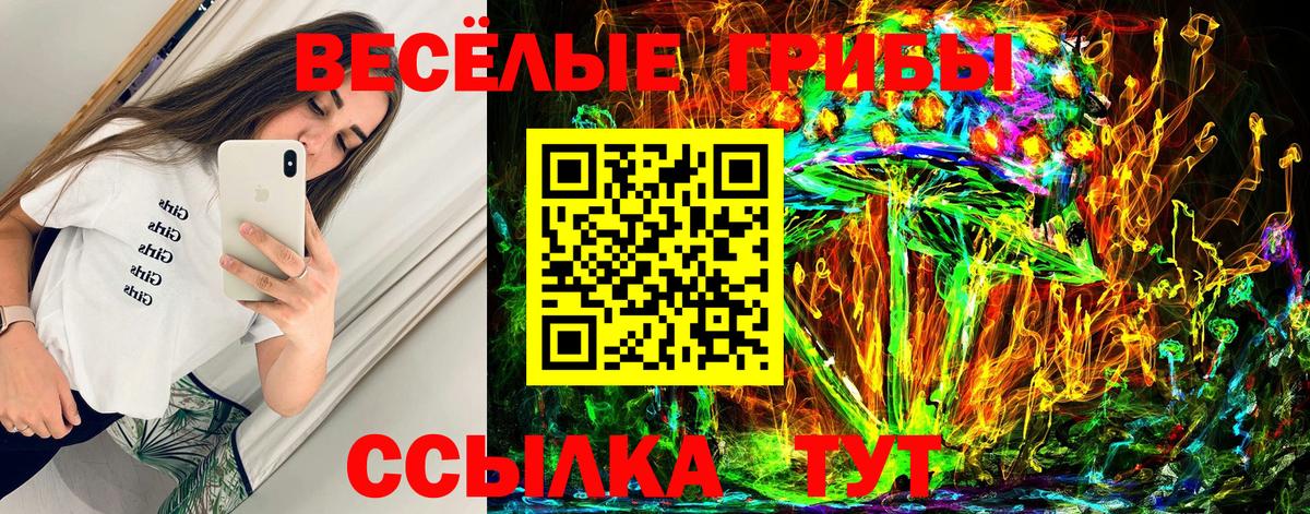 цена   Вход с VPN  Ипатово  Галлюциногенные грибы Psilocybine cubensis 