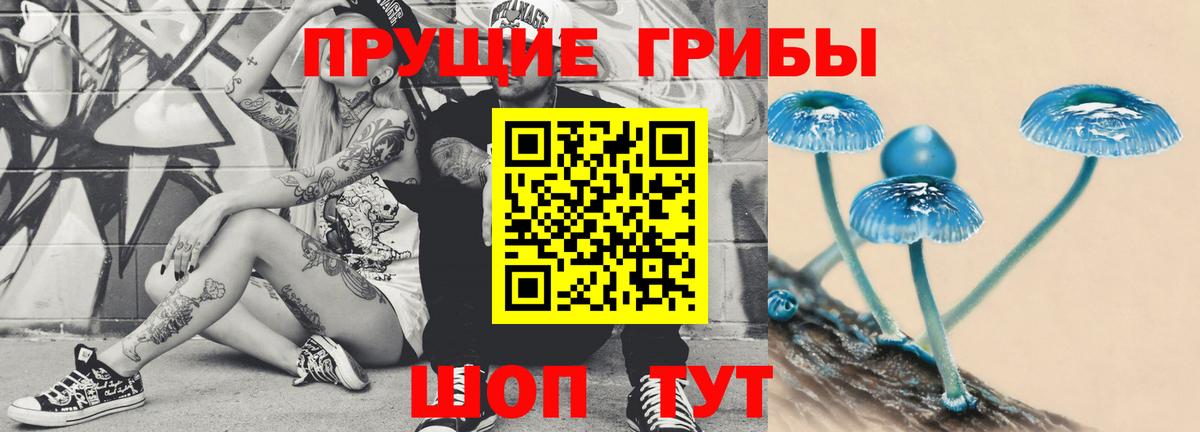 Галлюциногенные грибы Psilocybe Ипатово